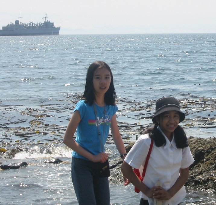 Beach 24.jpg